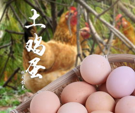 升金湖畔高山散养土鸡蛋30枚新鲜蛋五谷散养纯天然宝宝早餐月子蛋