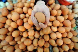 杭州 清明节前百家农贸市场微利卖鸡蛋